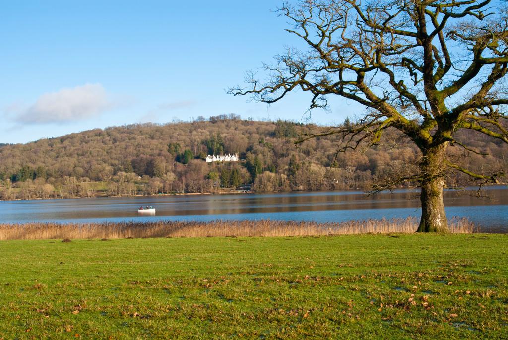 Communal Grounds and View