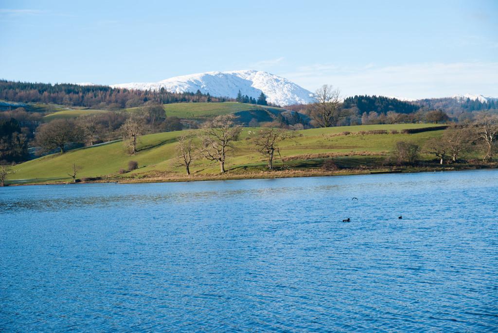 Esthwaite Water from grounds
