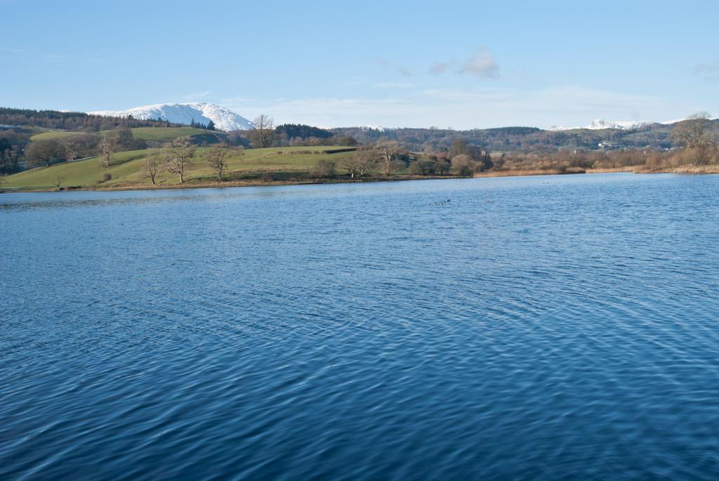 Esthwaite Water from grounds