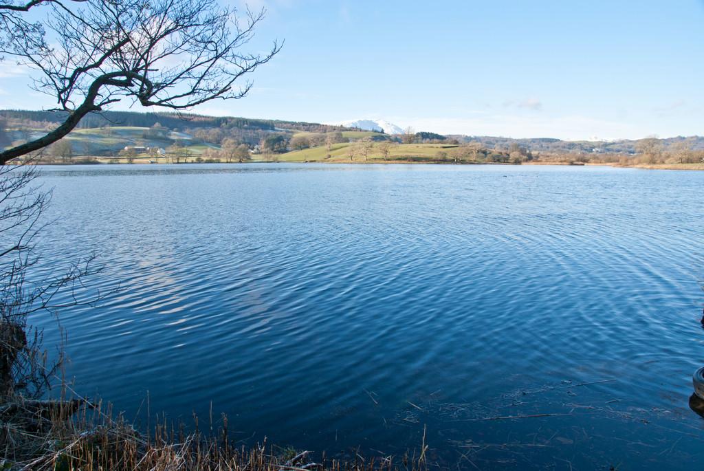 Esthwaite Water from grounds
