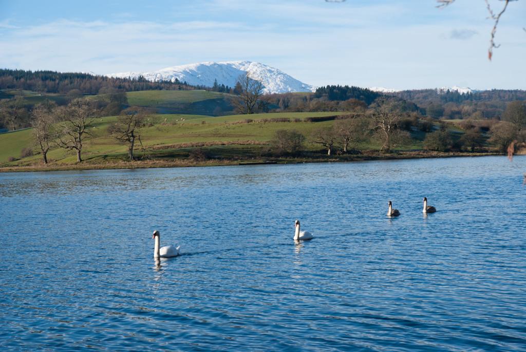 Esthwaite Water from grounds