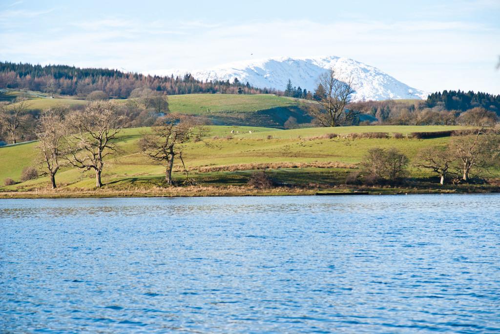 Esthwaite Water from grounds