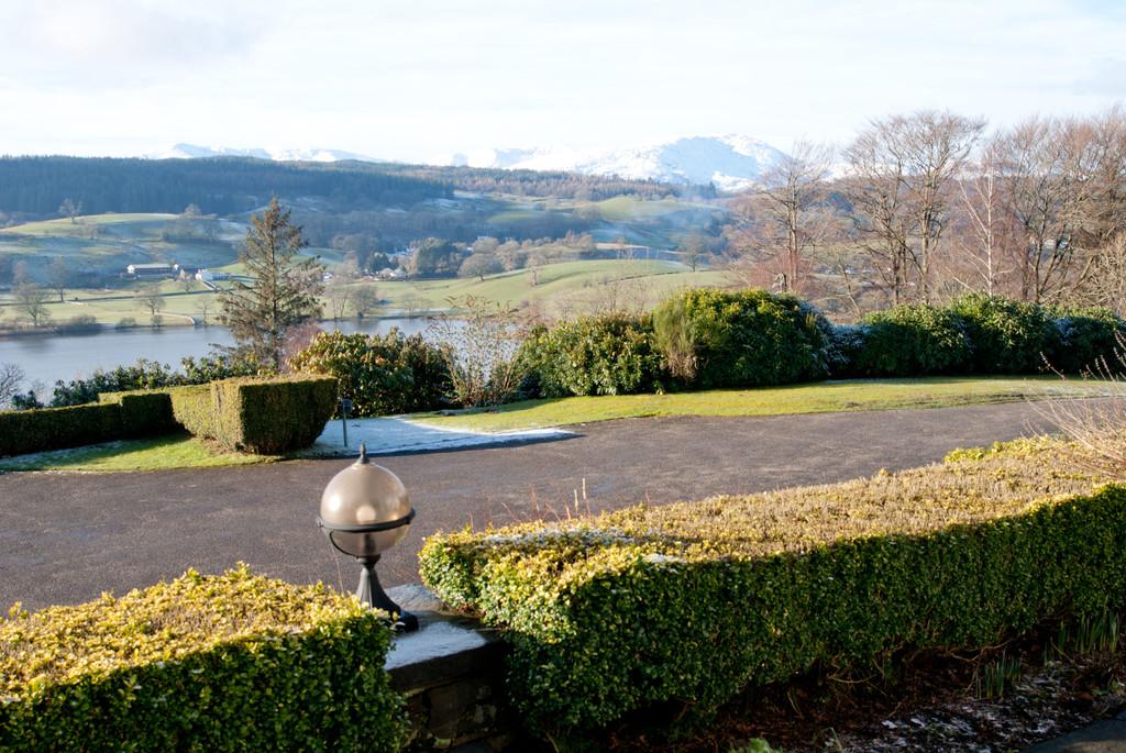 Communal Grounds