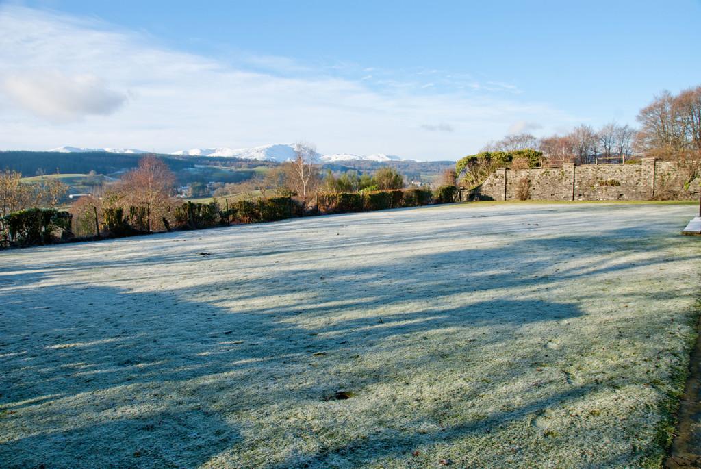 Communal Grounds in winter