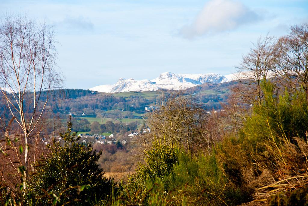 View from Communal Grounds