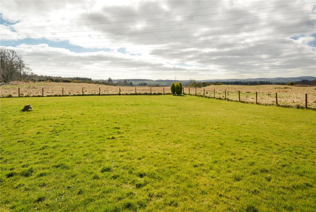 View From Garden