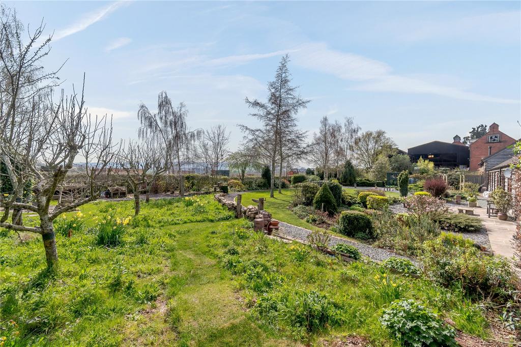 Wildflower Garden