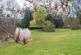 IMG 0241.jpg