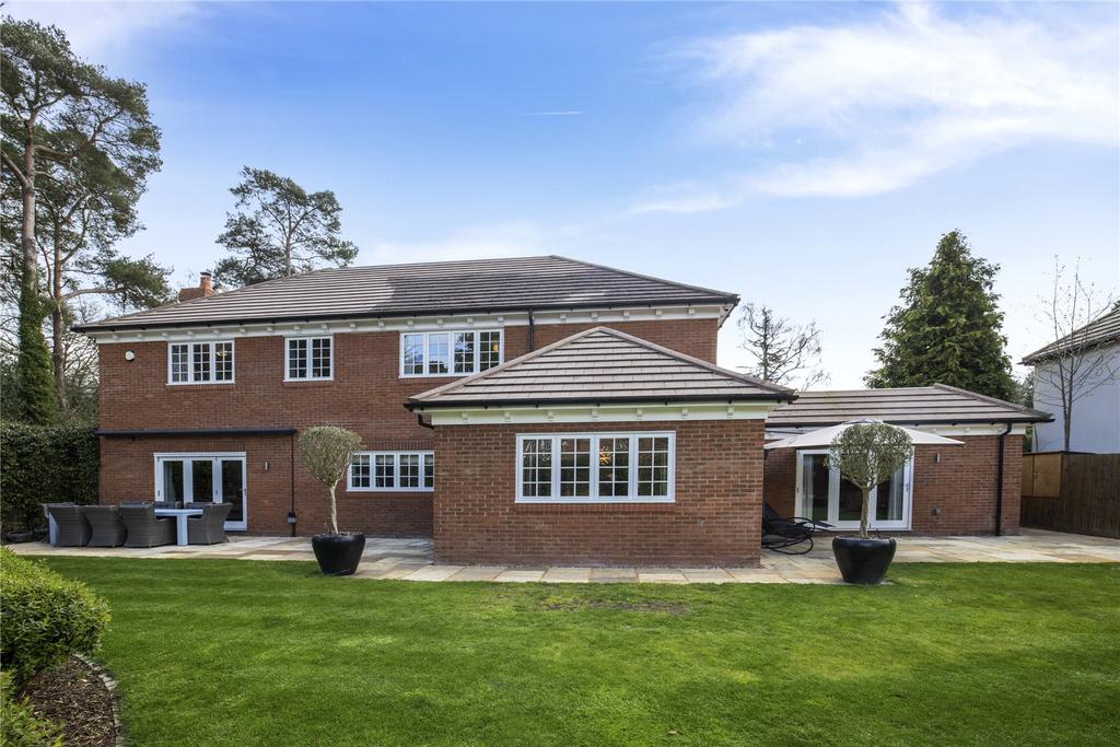 Rear Elevation