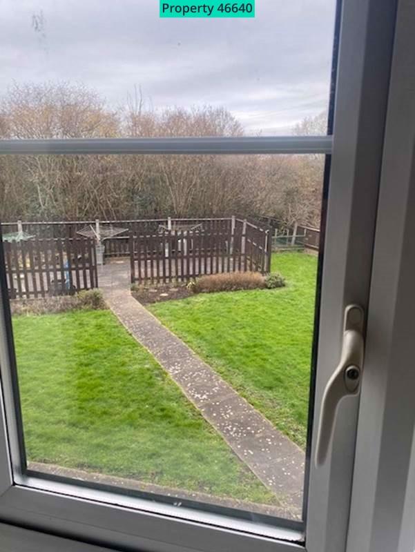 Communal garden and drying area