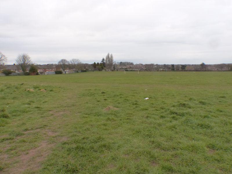 Field