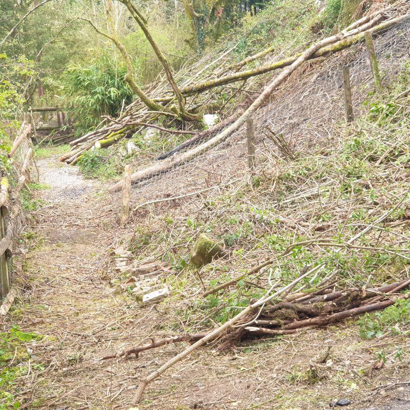 Cleared Land to Rear