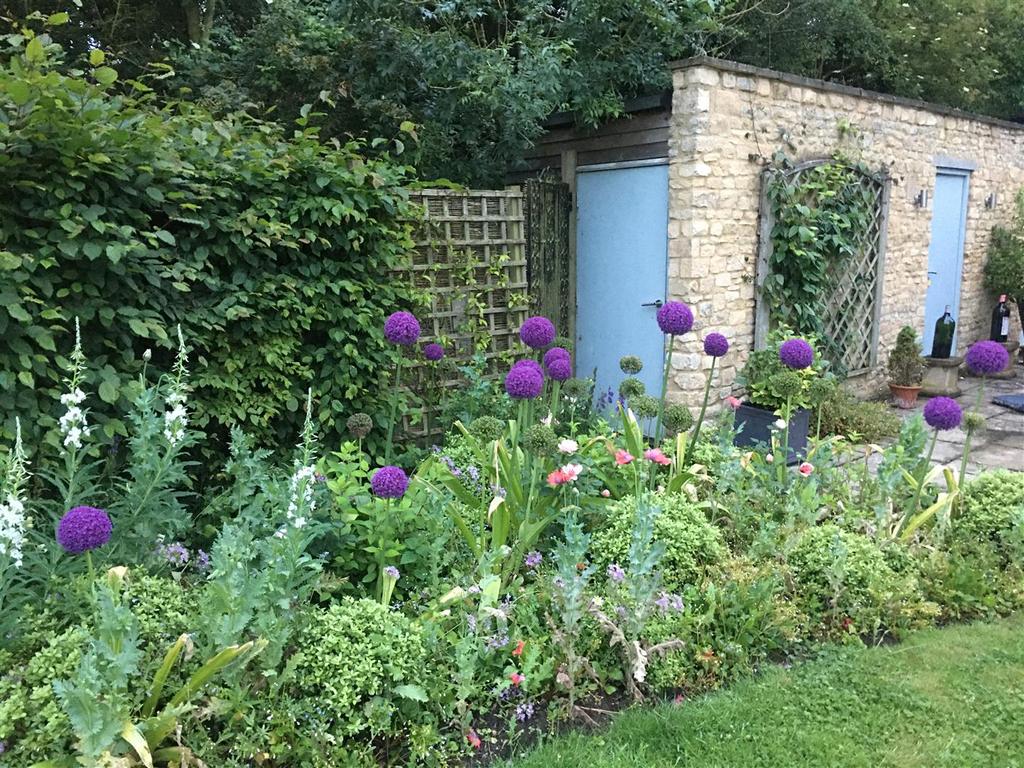 Garden 5.JPG