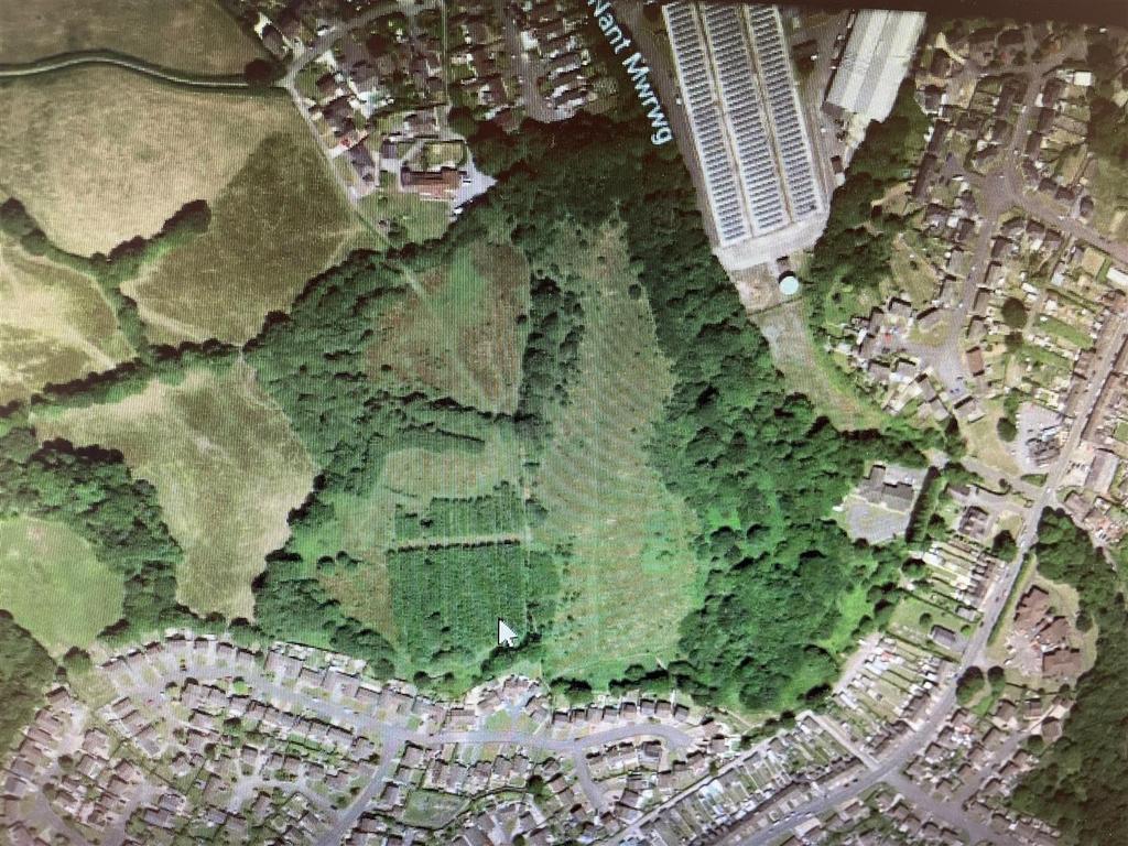 10acres1.jpg