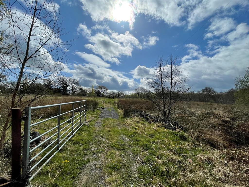 10acre6.jpg