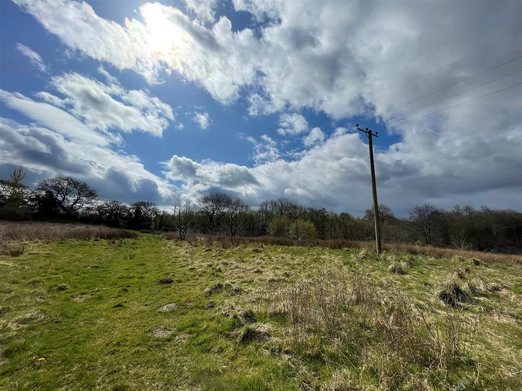 10acre8.jpg