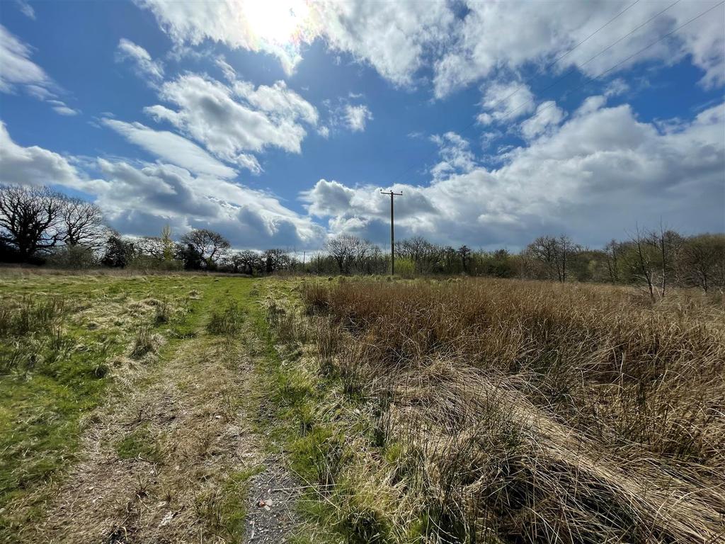 10acre9.jpg