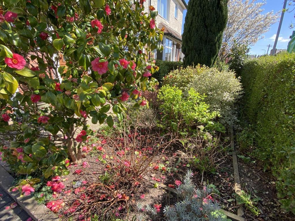 Front Garden