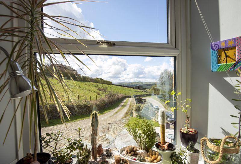 Kitchen Window View