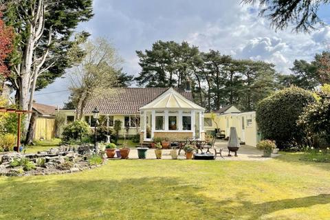 21 Cedar Avenue, St Leonards, Ringwood, BH24 2QF