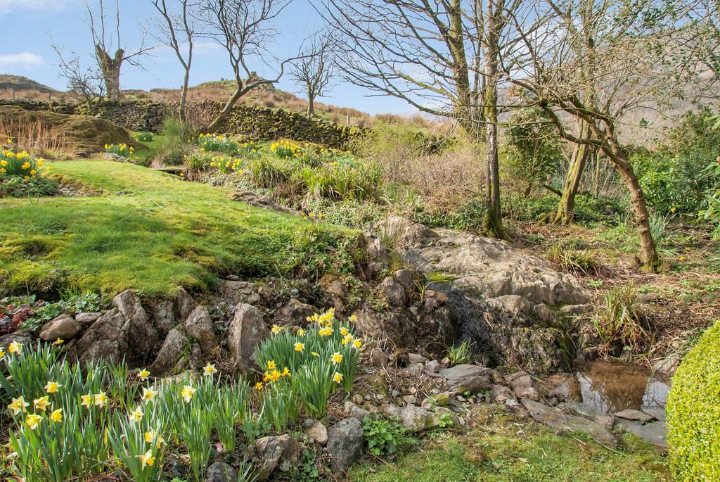 Garden and View