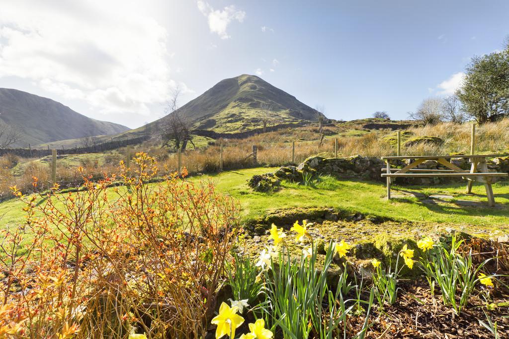 Garden and View