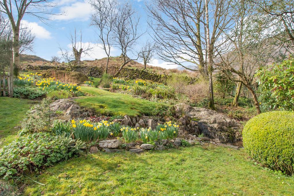 Garden and View
