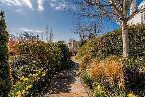 Mature Garden