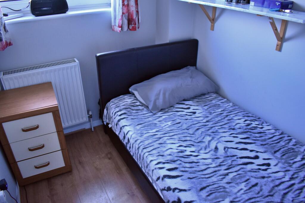 Dsc 1117.jpg