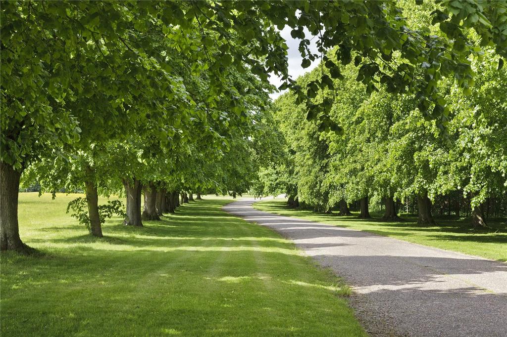 Driveway