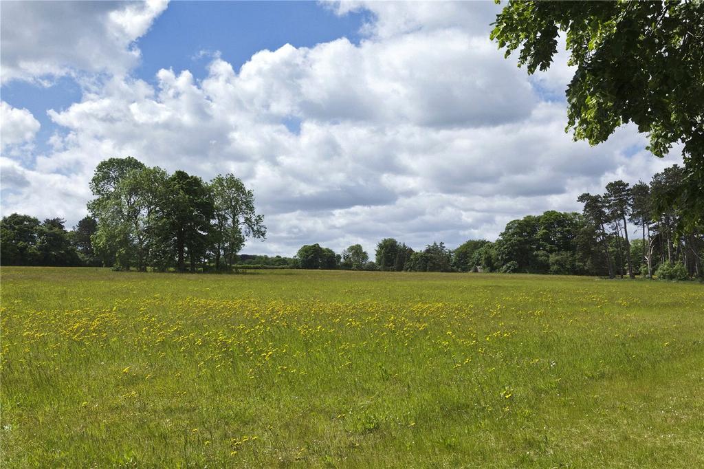 Land