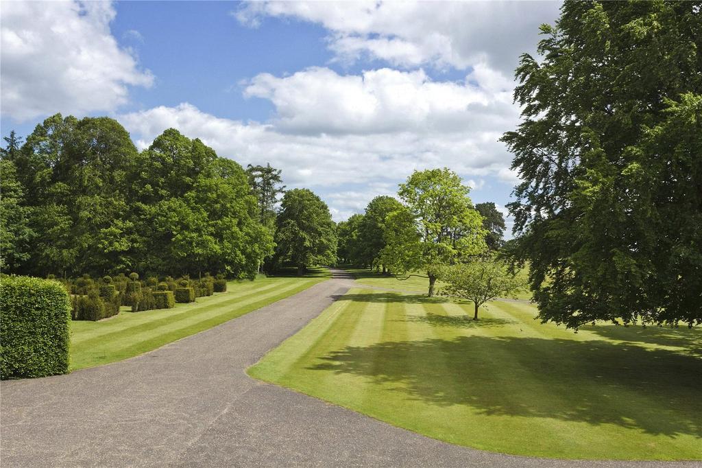 Driveway