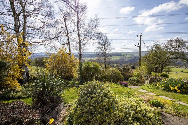 Garden and View