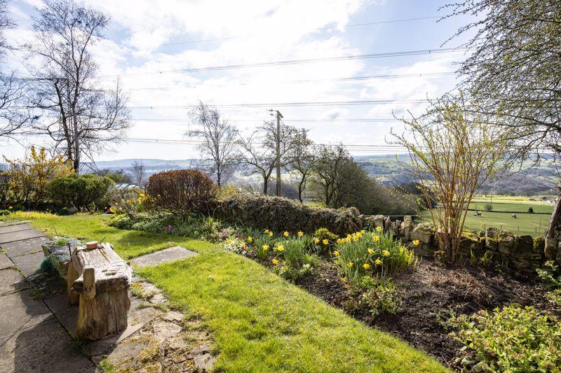 Garden and View
