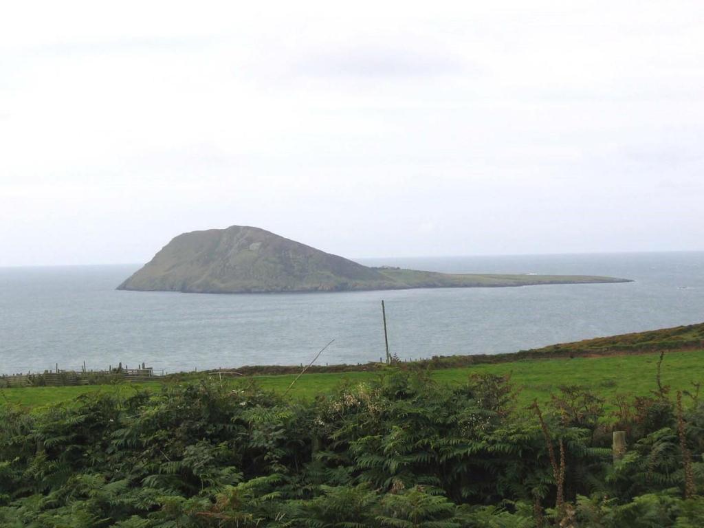 View.jpg