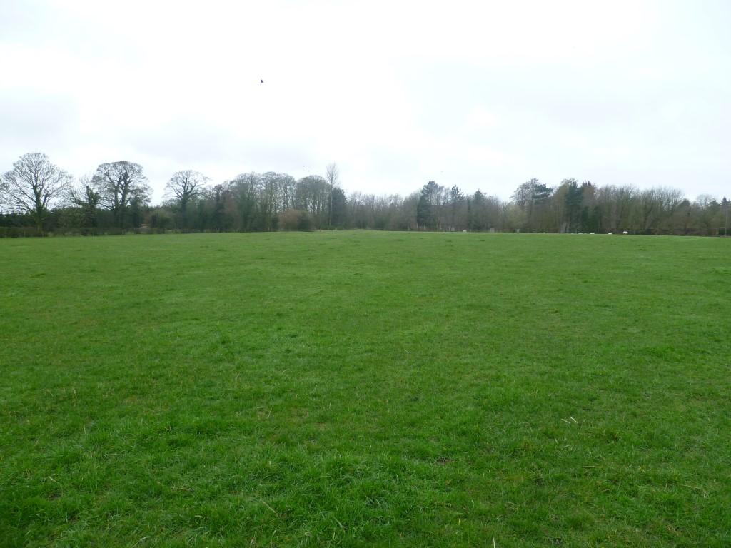 Lot 1 Land