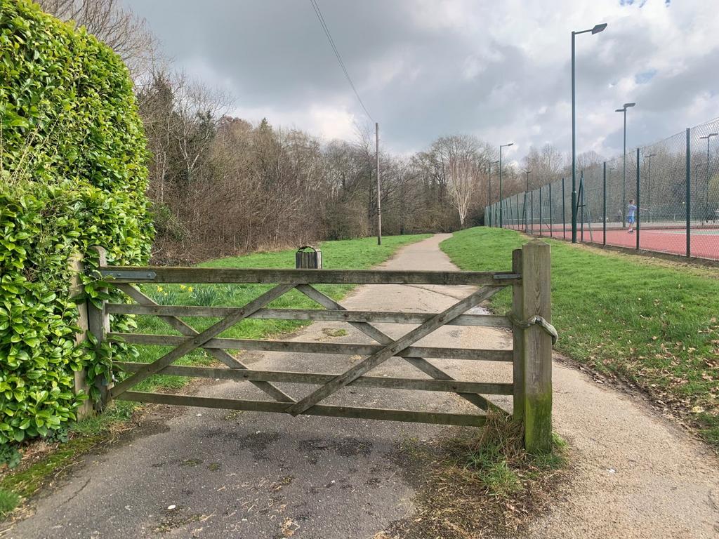 Picture No. 10