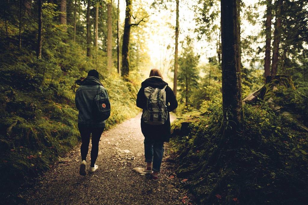 Take time out on a woodland walk