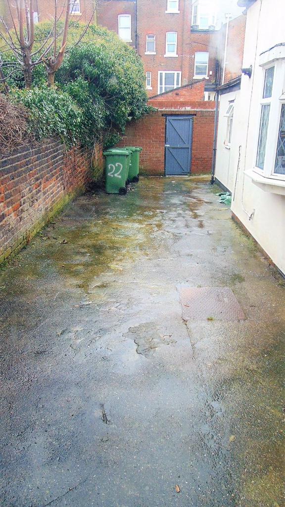 Rear Yard