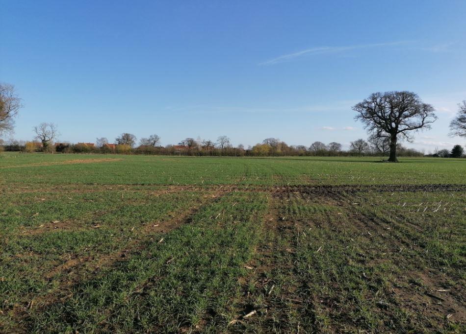 Aldwark, York Land £192,160