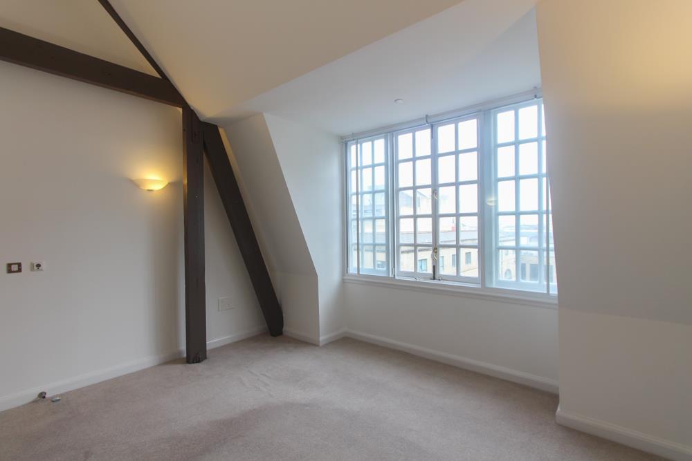 IMGNEW-7.jpg