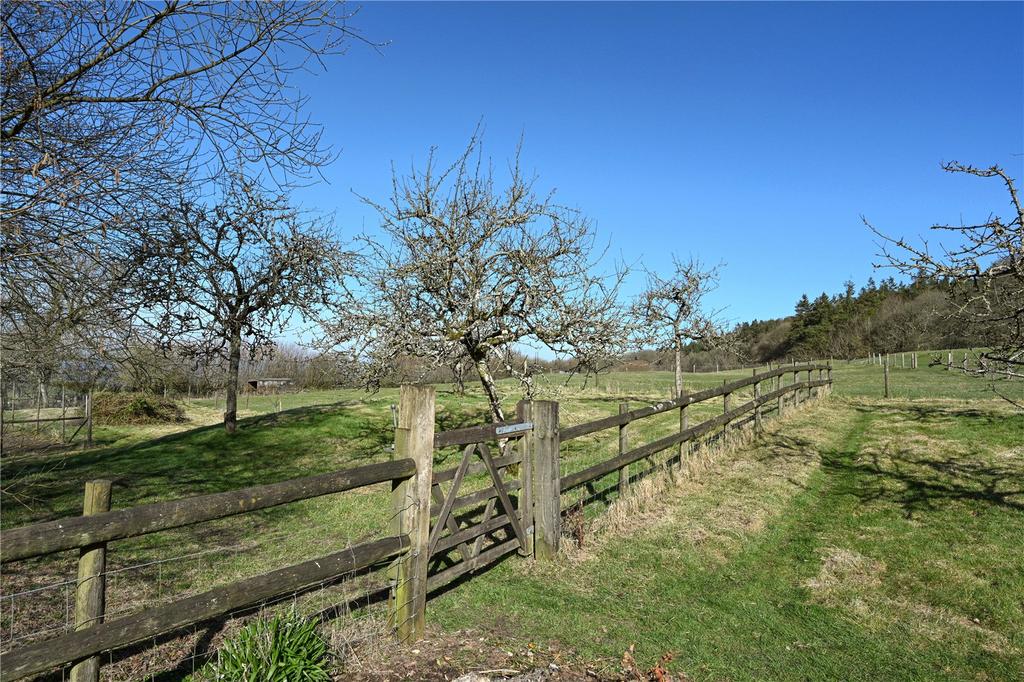Orchard