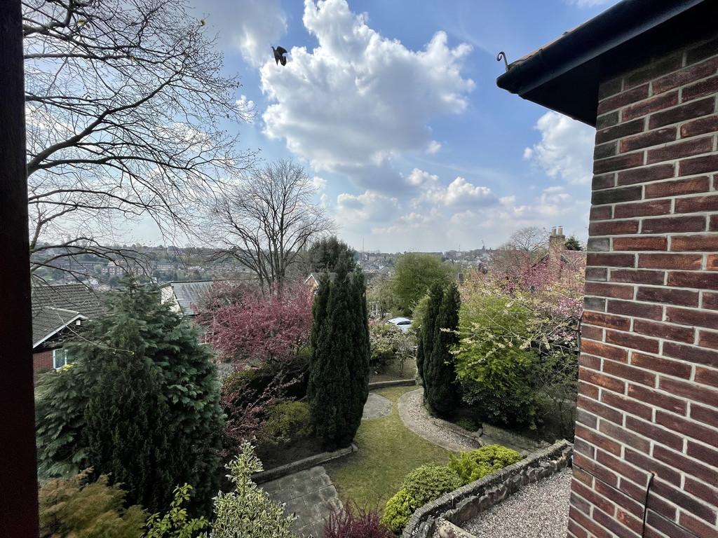 View from window