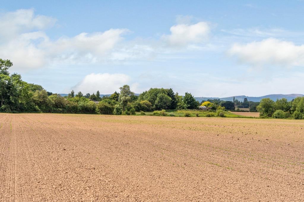 Picture 3