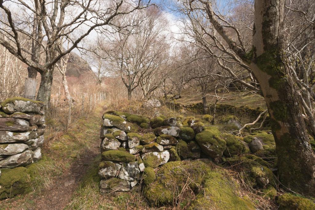 Croft 1 Diabaig