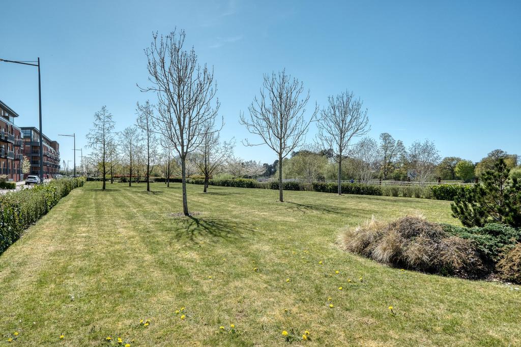 Communal Garden