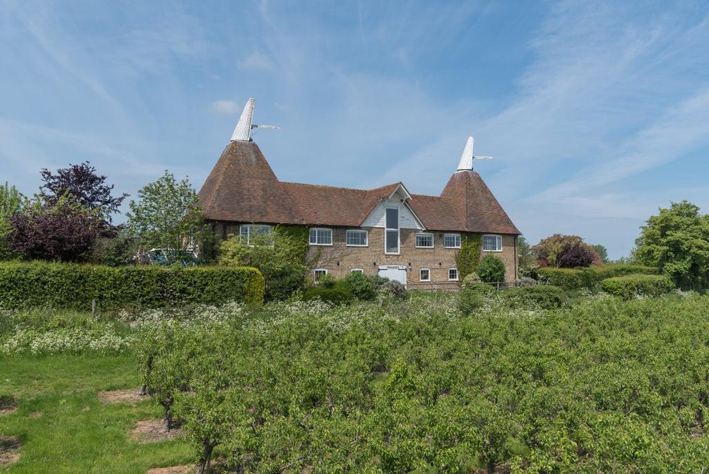 House Across Lane