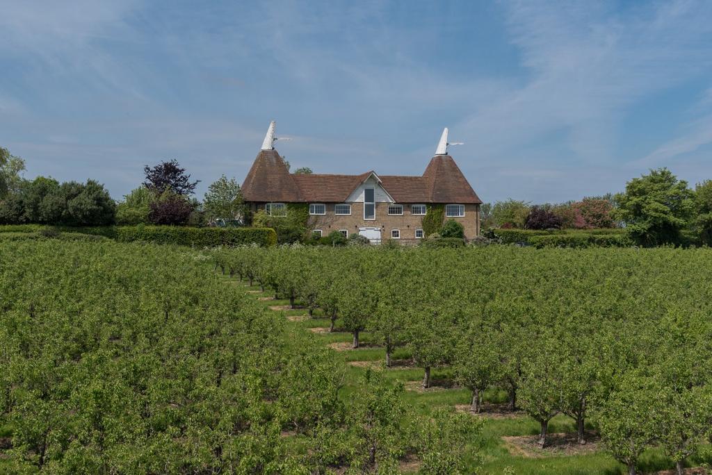 Orchards Around