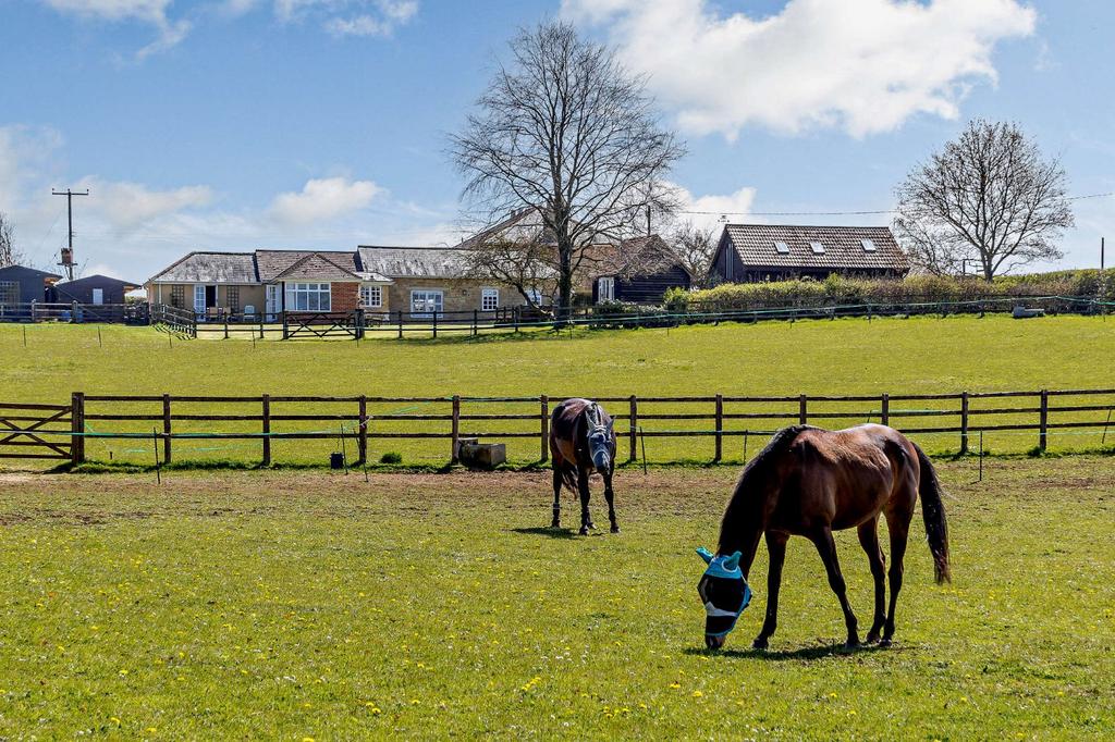 Paddocks