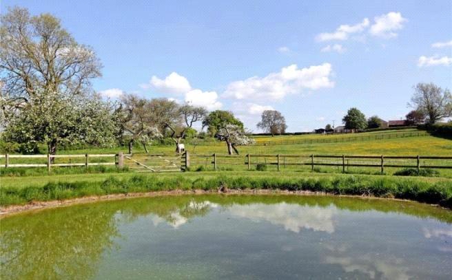 Pond